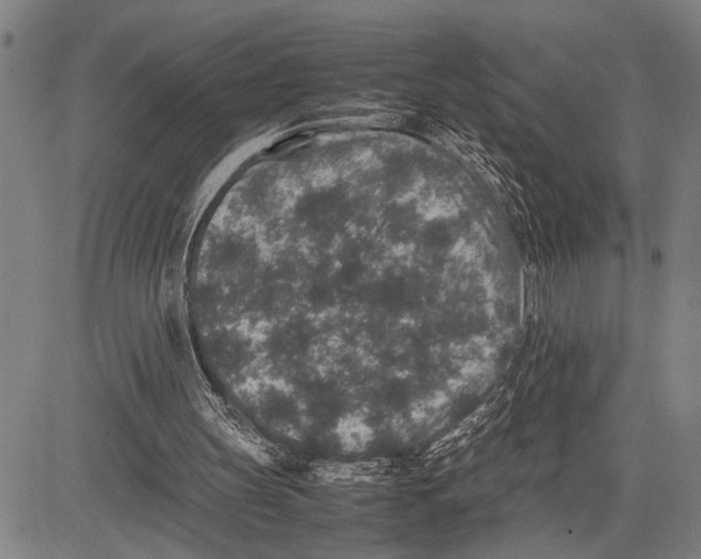 X0000081410147200702021611