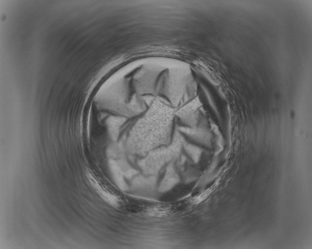 X0000081410148200702021611