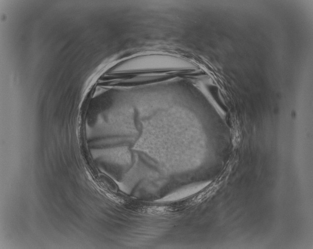 X0000081410152200702021611