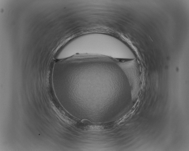 X0000081410154200702021611