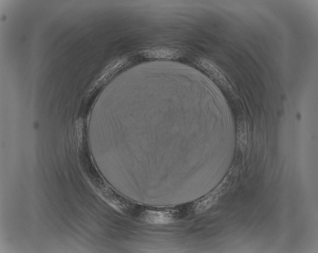 X0000081410167200702021611