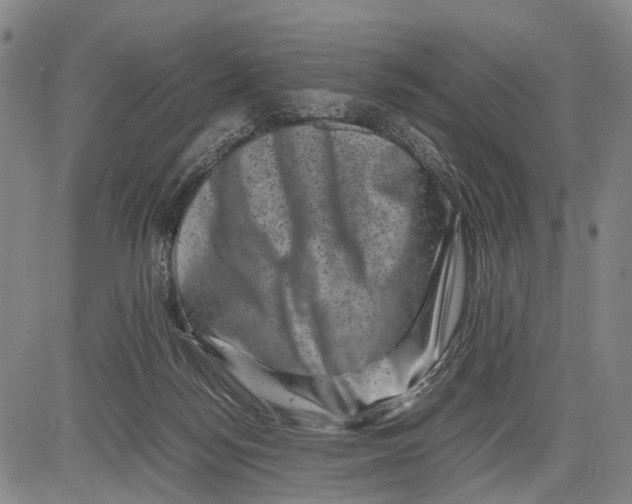 X0000081410172200702021611