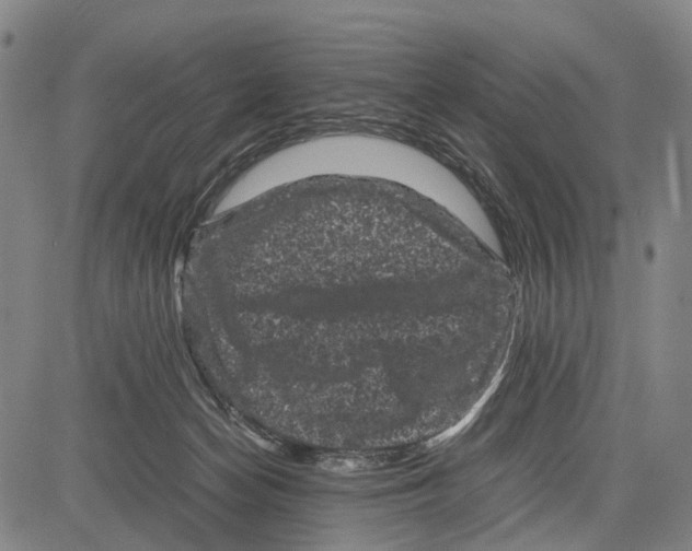 X0000081410174200702021611