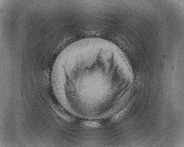 X0000081410183200702021611