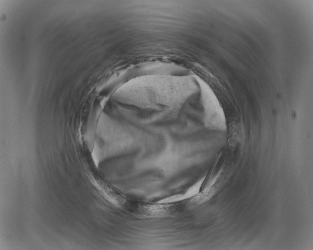 X0000081410184200702021611