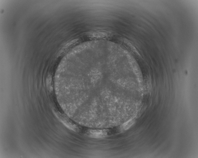 X0000081410187200702021611