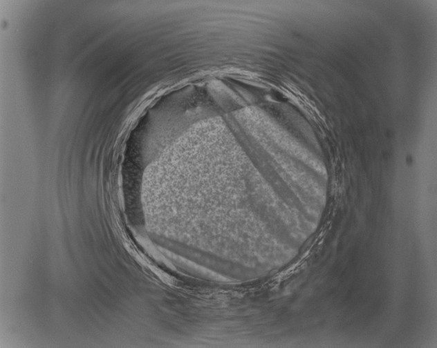 X0000081410193200702021611
