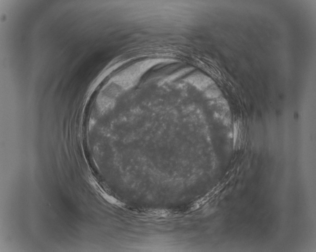 X0000081410195200702021611