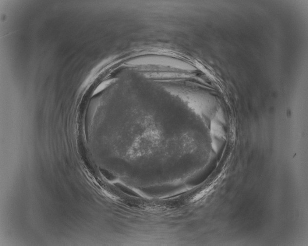 X0000081410199200702021611