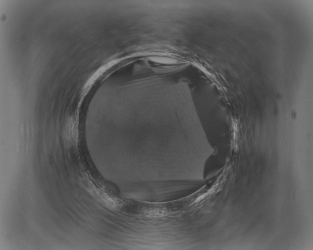 X0000081410200200702021611