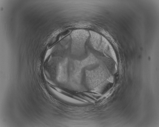 X0000081410201200702021611