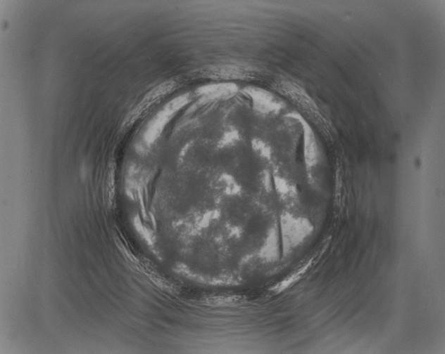 X0000081410202200702021611