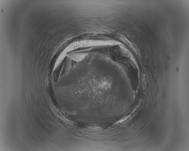 X0000081410203200702021611