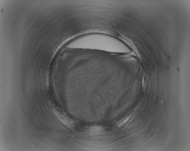 X0000081410204200702021611