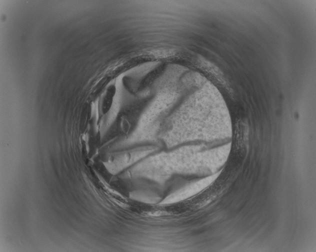 X0000081410212200702021610
