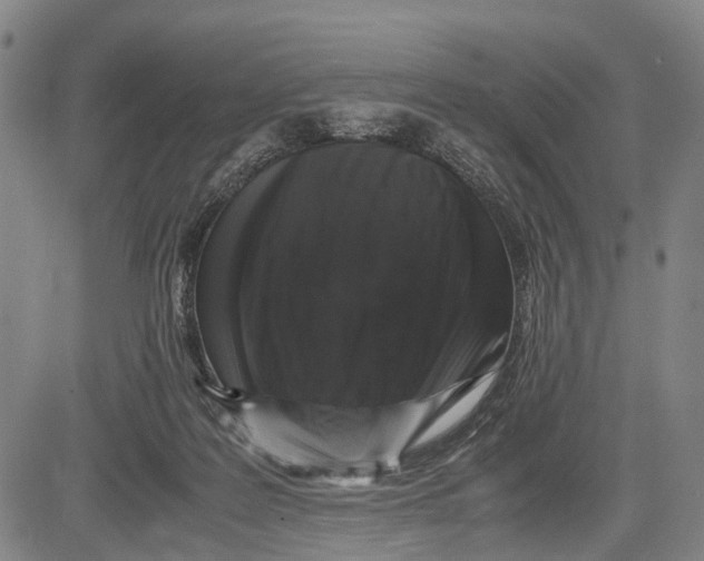 X0000081410219200702021610
