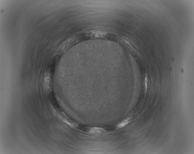 X0000081410222200702021610