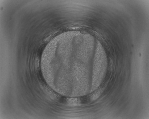 X0000081410230200702021610