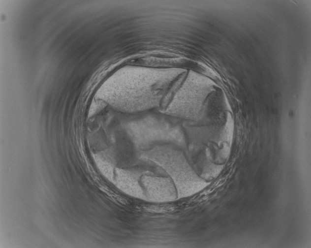 X0000081410241200702021609