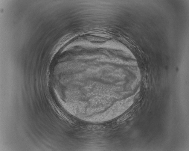 X0000081410242200702021609