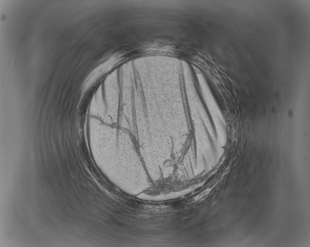 X0000081410245200702021609