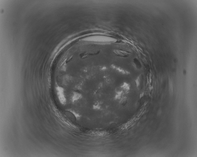 X0000081410247200702021609
