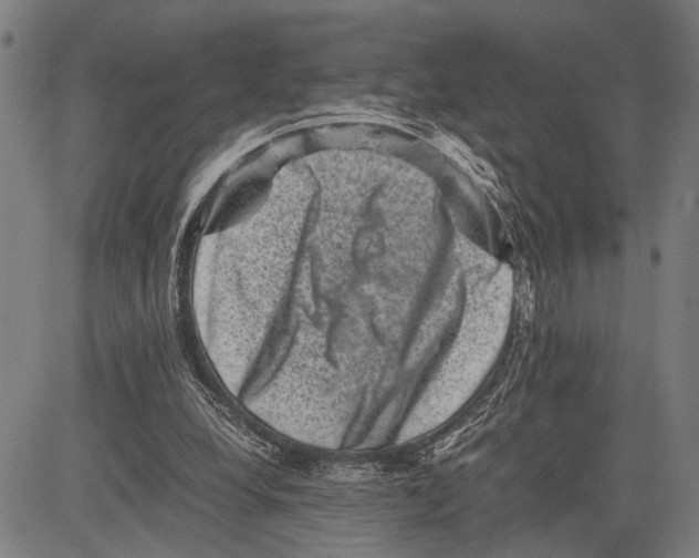 X0000081410248200702021609