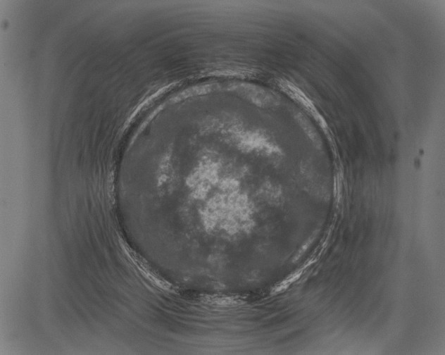 X0000081410249200702021609