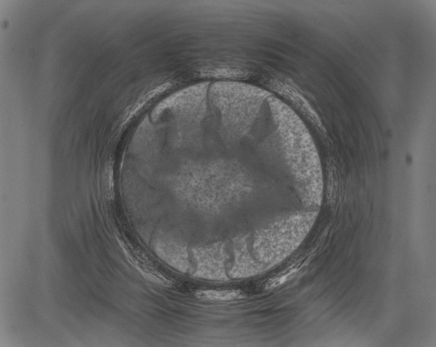 X0000081410251200702021609
