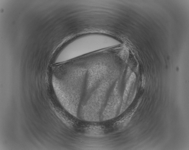 X0000081410256200702021609