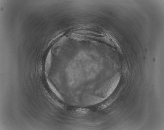 X0000081410261200702021610