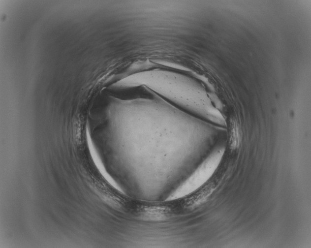 X0000081410268200702021610