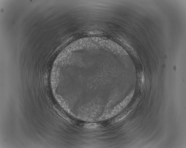 X0000081410269200702021610