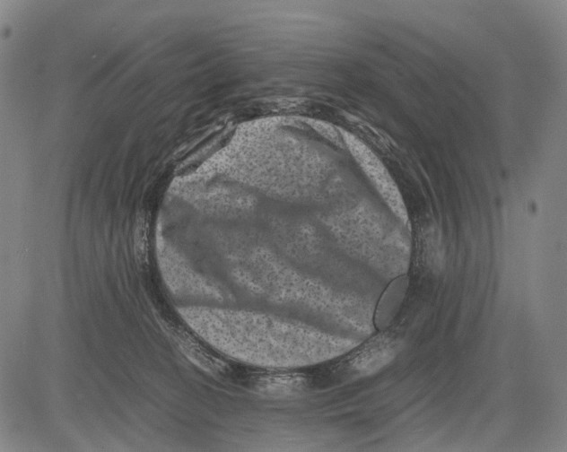 X0000081410274200702021610