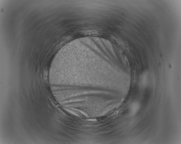 X0000081410281200702021610