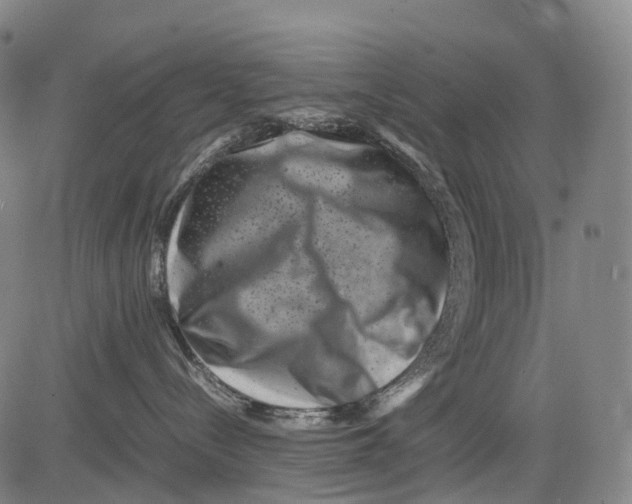 X0000081410288200702021610