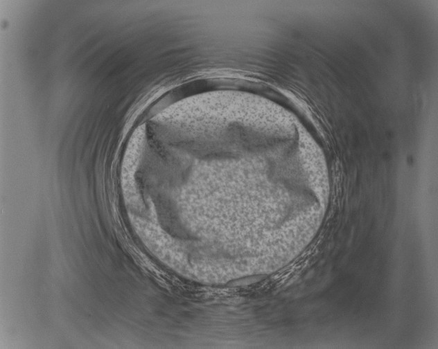 X0000081410289200702021609