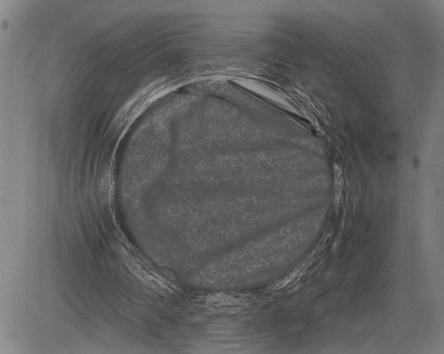 X0000081410290200702021609