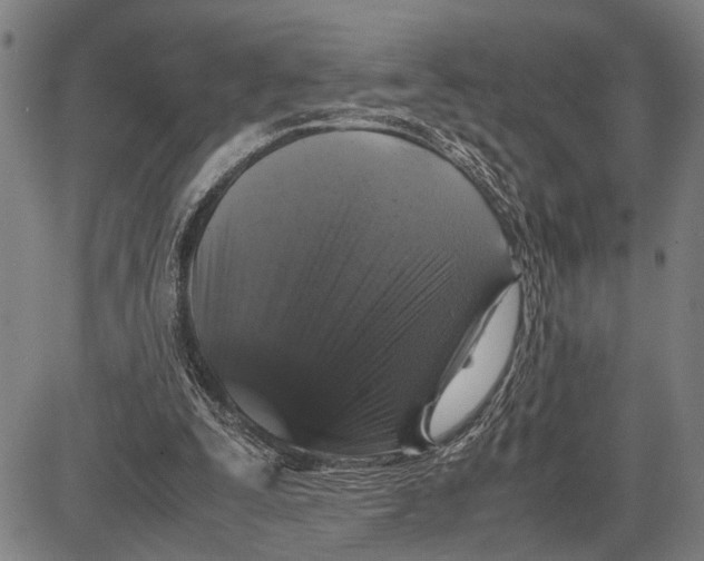 X0000081410295200702021609