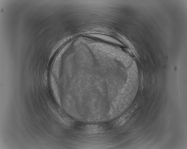 X0000081410298200702021609