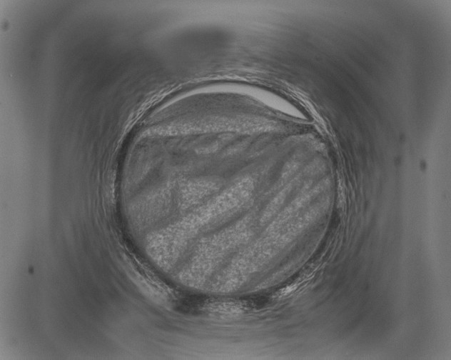 X0000081410299200702021609