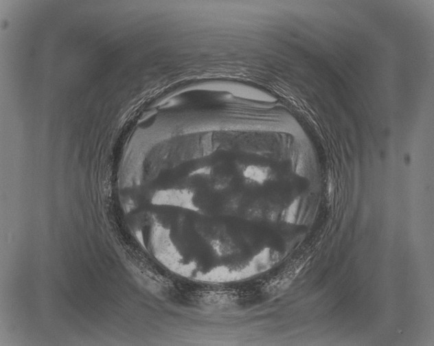 X0000081410303200702021609