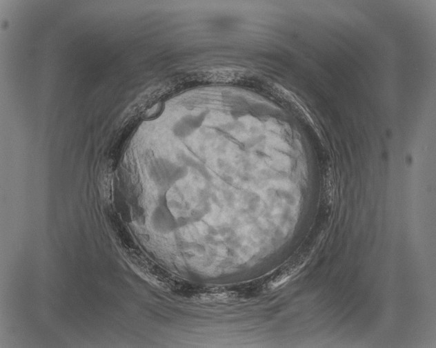 X0000081410307200702021609