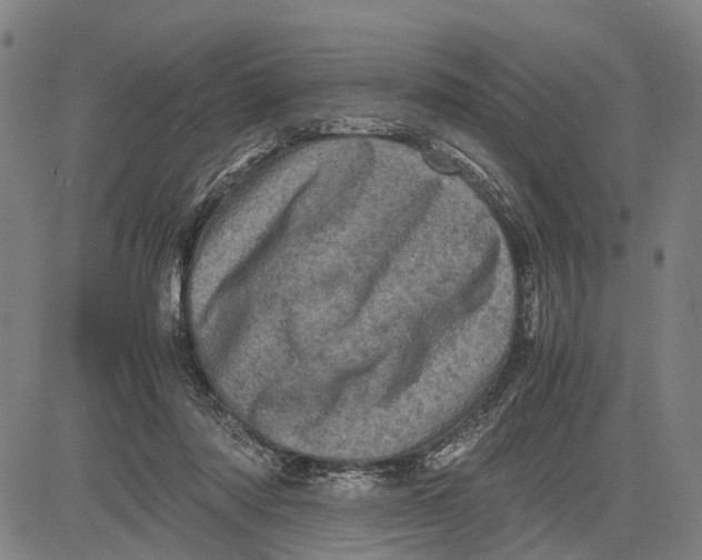 X0000081410310200702021609