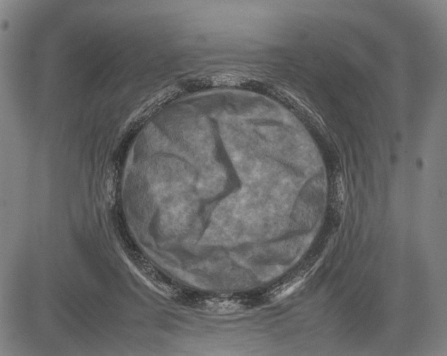 X0000081410311200702021609