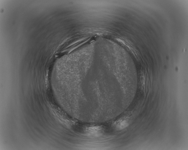 X0000081410312200702021609