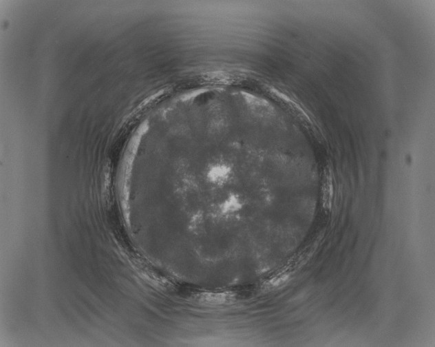 X0000081410314200702021609