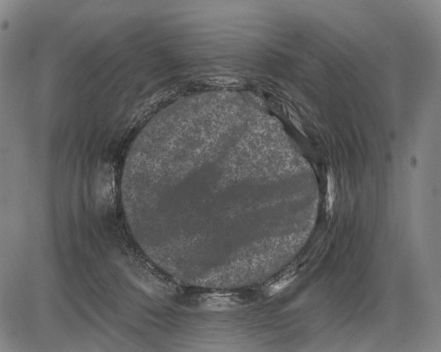 X0000081410320200702021609