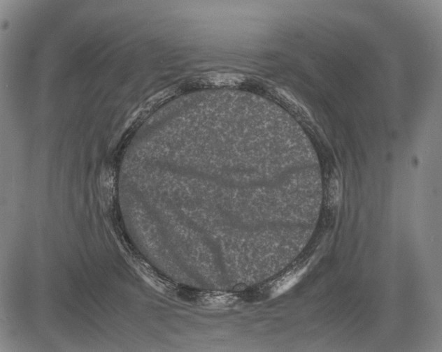 X0000081410321200702021609