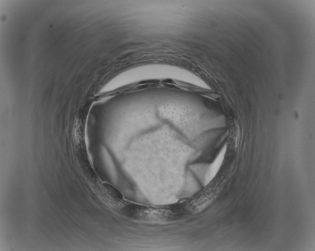 X0000081410323200702021609